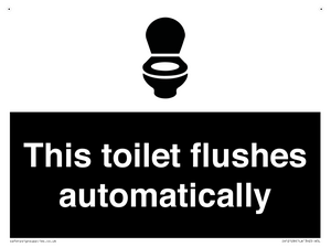 This toilet flushes automatically